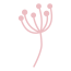 ERP Graphic Flowers_Cup_in_Rose
